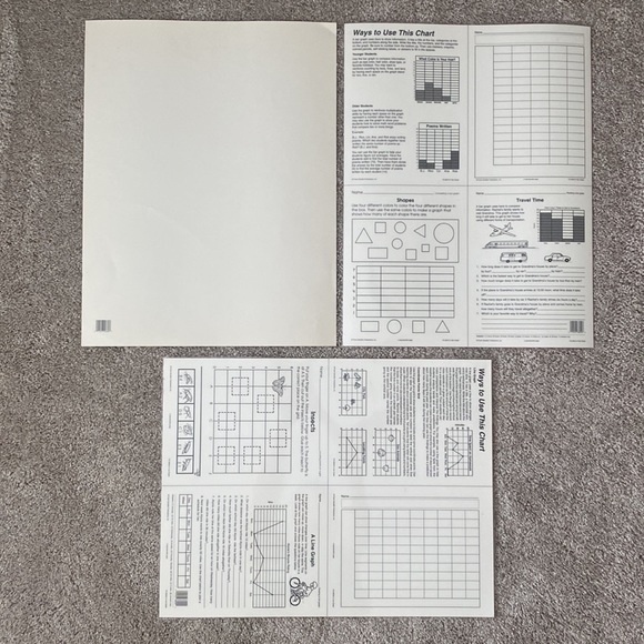 Class Chart, Bar Graph, and Line Graph Posters - Picture 2 of 8